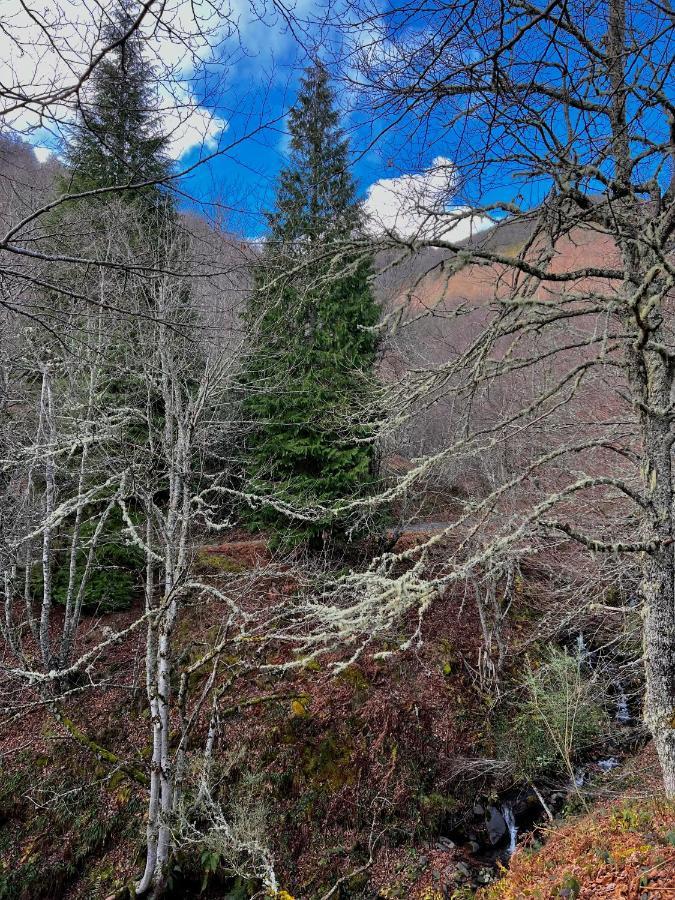 El Jornu Villa Dego Bagian luar foto